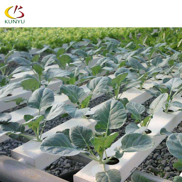 Manufacturer supply 120*80mm NFT Greenhouse Complete Hydroponic Growing  System for Melon and Fruit