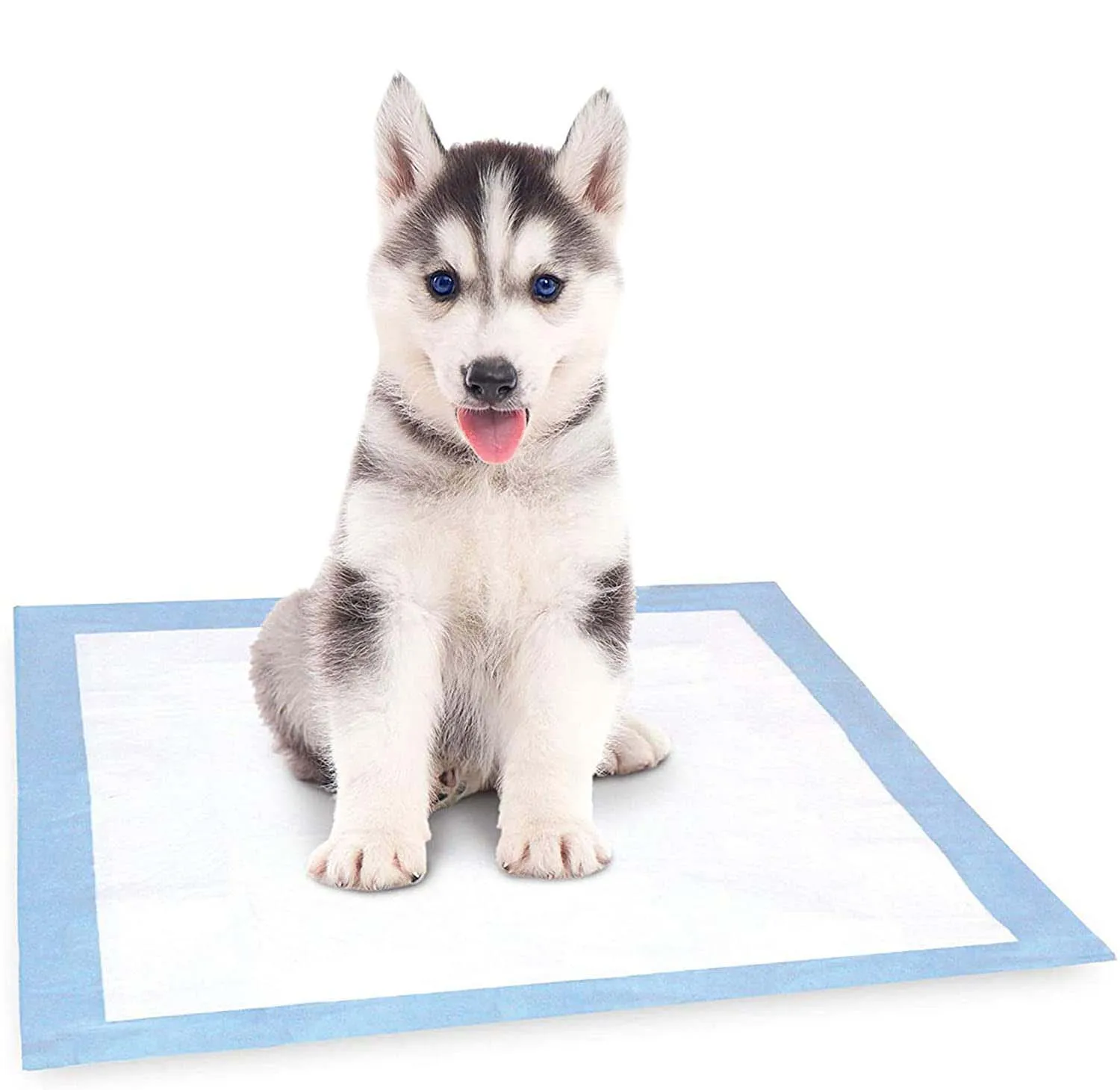 
2021New Product Training Disposable Pet Pad waterproof animal pee pet pad 
