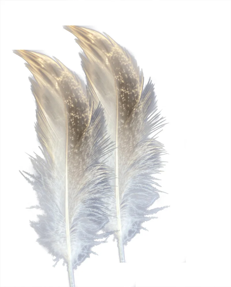 Sale Washed Gray Duck Feather New National Standard 90% 2-4CM Large Gray Duck Feather
