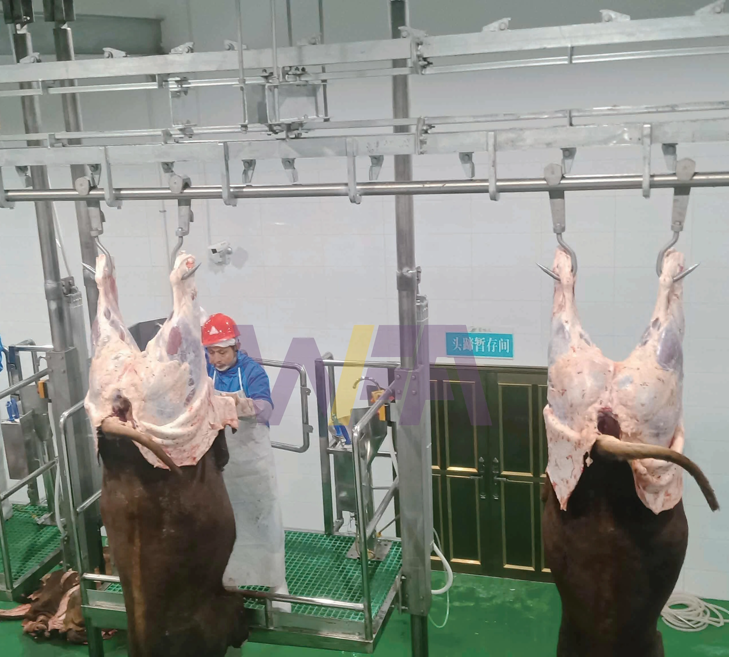 Halal Cow Donkey Slaughtering Machinery With Quality Meat Processing Cattle Butcher Machine