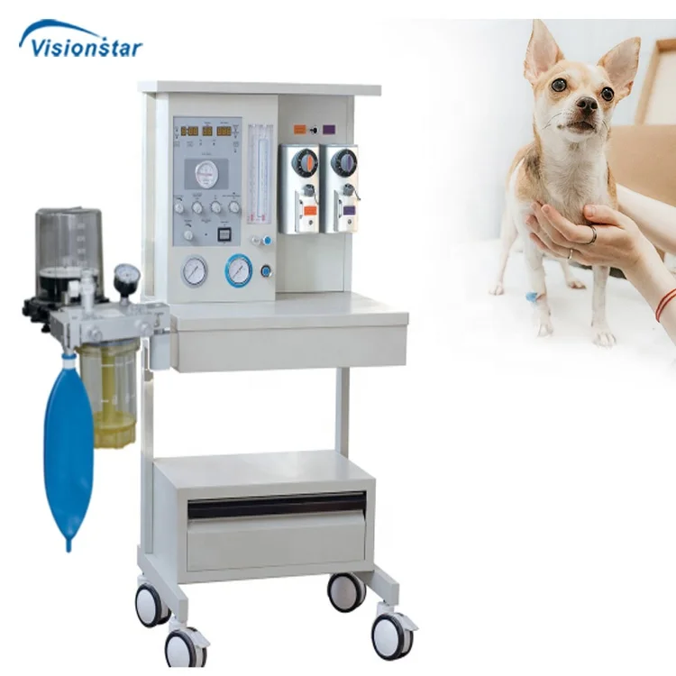 Medical Veterinary Anesthesia Device Animal Anesthesia Machine with Built-in Ventilator