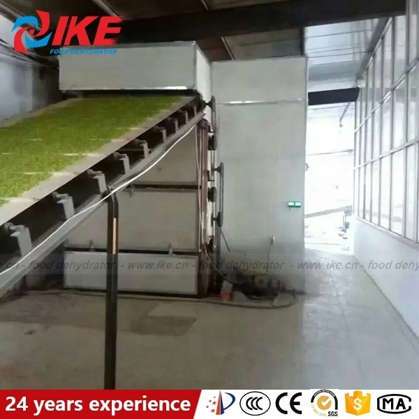 industrial electric hot air sweet potato drying machine for dehydrator moringa leaves