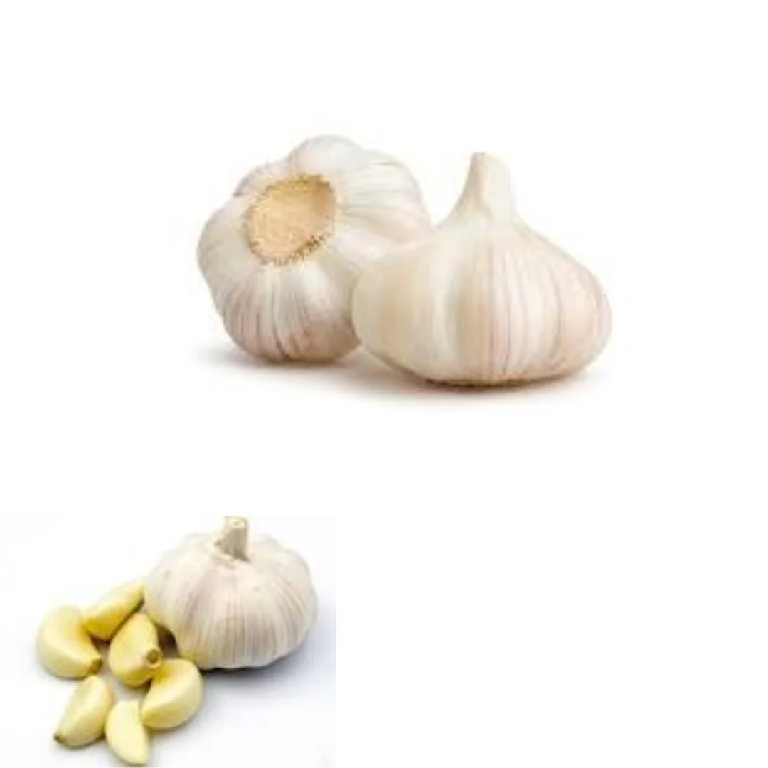 Hot Item Garlic Used As A Seasoning For Dishes 100% Dried Garlic Organic Packed In Box Vietnamese vegetable
