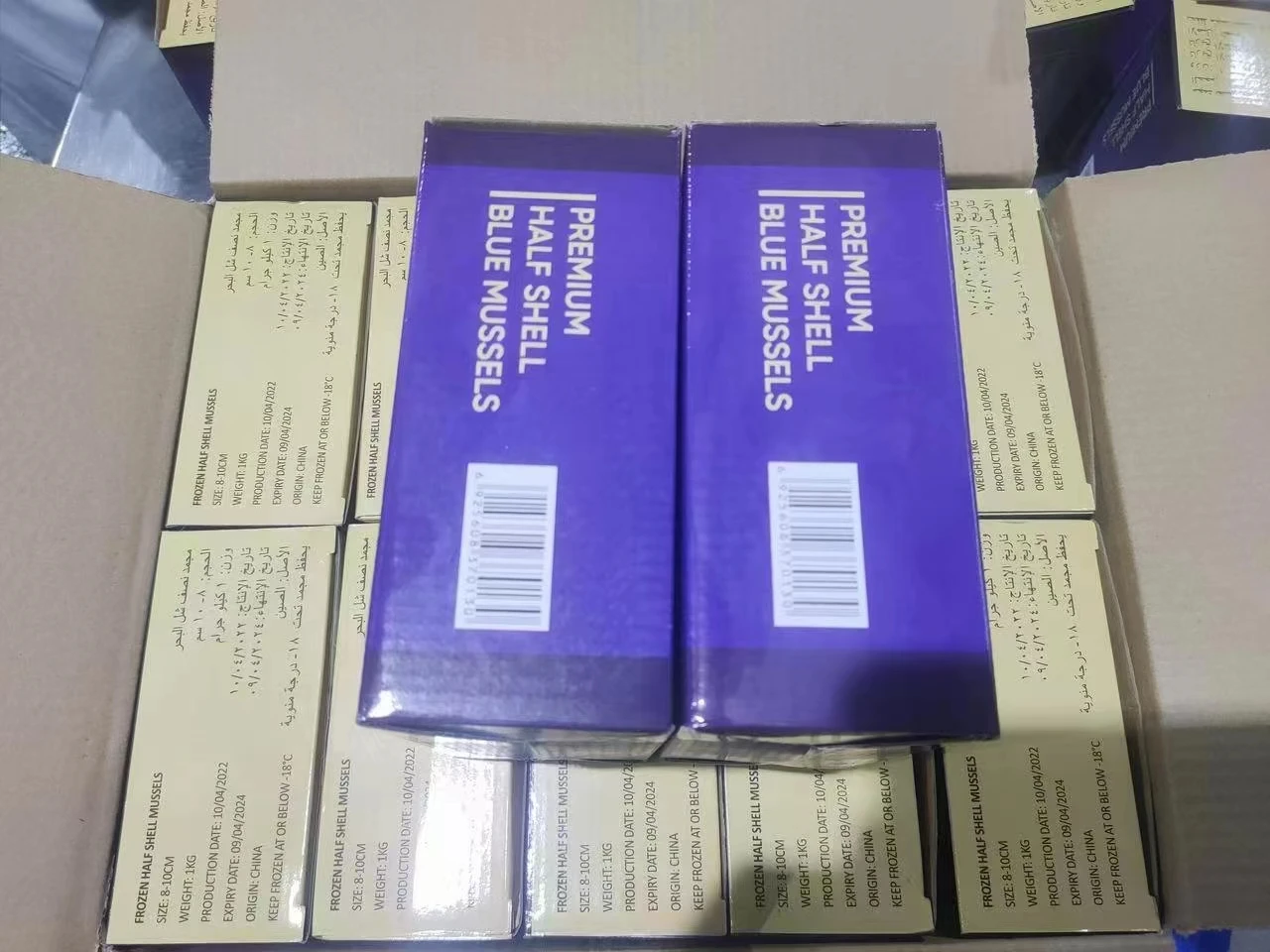 Seafood Mytilus Edulis Good Packaging Mussel Meat Frozen Half Shell Mussel