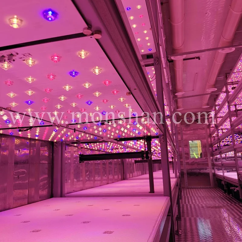 Shipping Container Plant Factory For Hydroponic Microgreen Farm