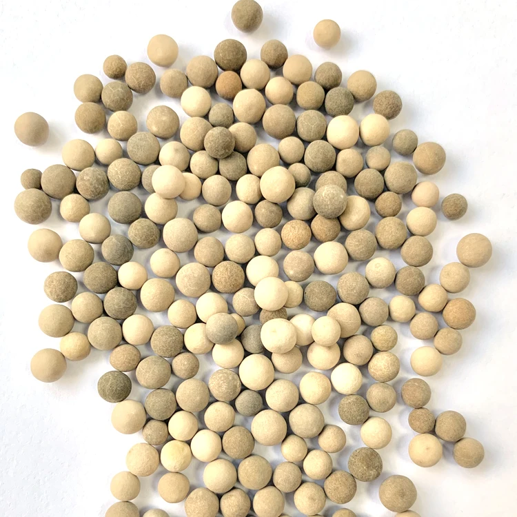 Factory Outlet High Quality Carbon base Ozone Catalyst for Water Treatment