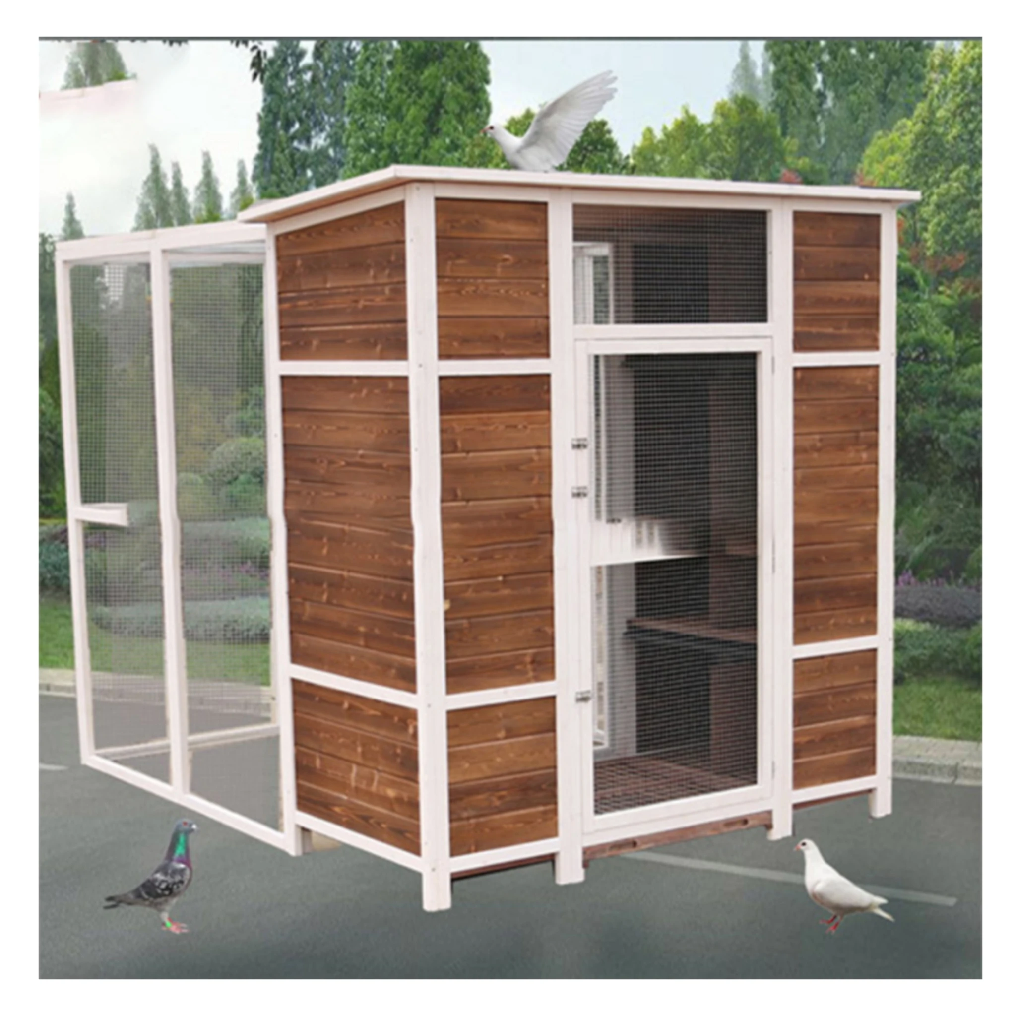 Outdoor anticorrosive wood pigeon loft oversized bird cage wooden pigeon shed pigeon nest box