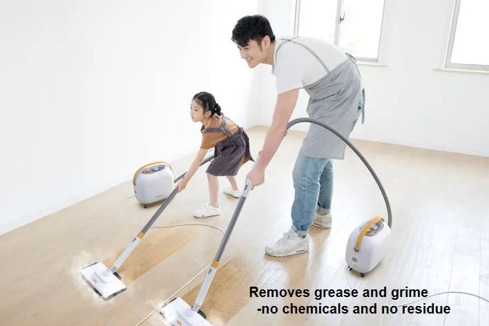 2021 China Car Washer Multifunction High Pressure Steam Cleaner Professional Steam Cleaner Cleaning Appliances