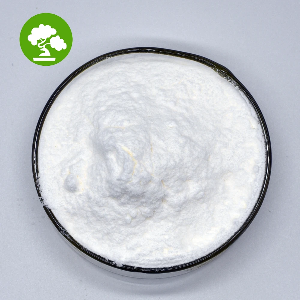 High Quality Freeze Dried Coconut Fruit Powder Bulk Coconut Water Powder