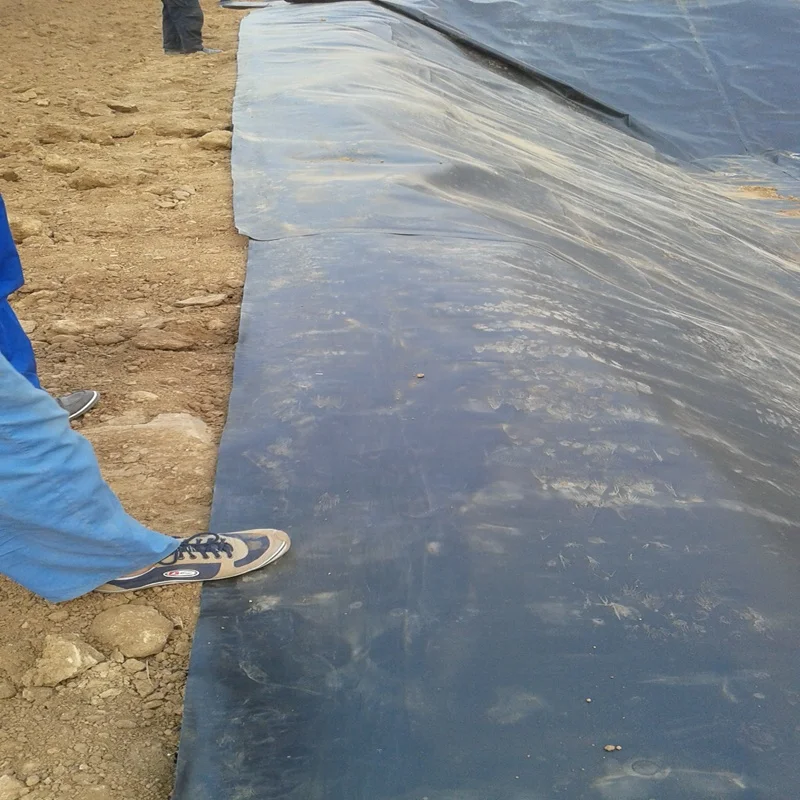 0.8 mm Hdpe Waterproof Membrane Fish Shrimp tank Liner 1 Reservoir Dam Impermeable Tarpaulin 1.25 Geomembranes
