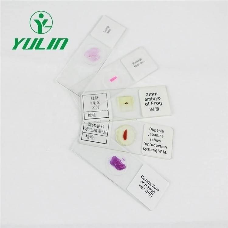 Factory Teaching Resources Educational Purpose Biology 100pcs Slices Human Histology Microscopy Specimen Preparation Slides