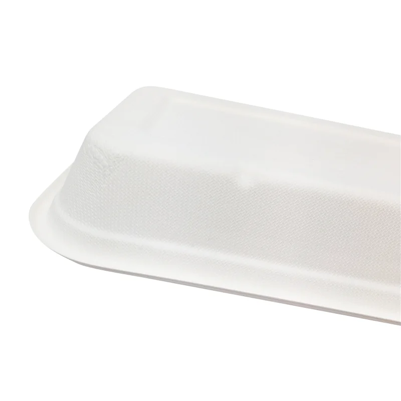 Eco- friendly Sugarcane Lunch Box Biodegradable Bagasse Take Away Box Paper Pulp To Go Food Container With PET Lid