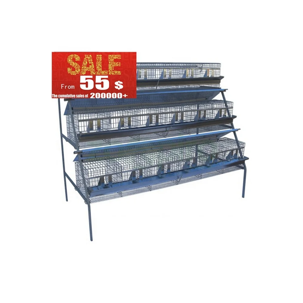 quail bird farming