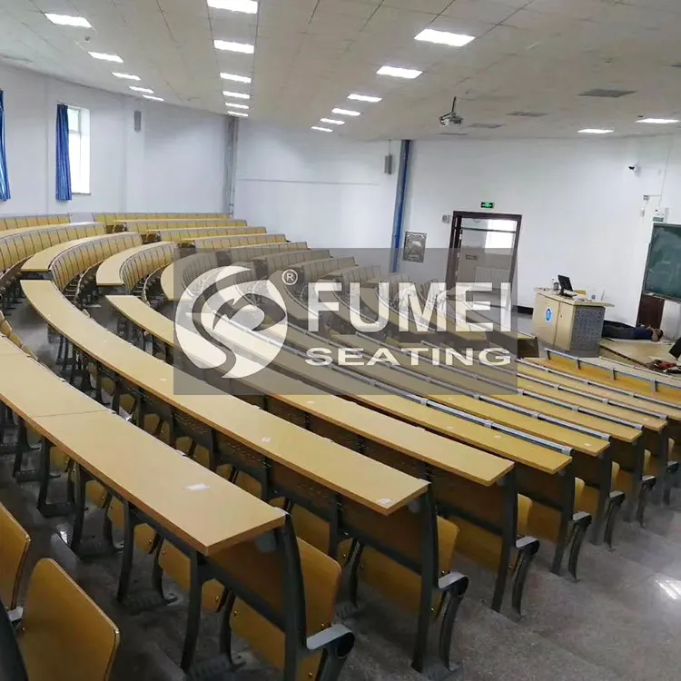 FM-305 University College School Lecture Hall Chair And Desk