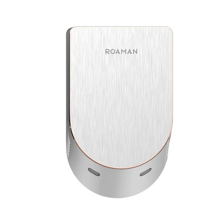 ROAMAN, компактная сушилка для рук, 110-220 В, серебристая, быстросохнущая сушилка для рук