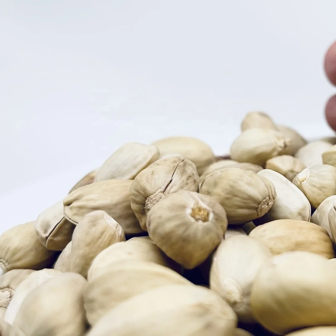 High quality Roasted Nuts Pistachio Nut Pistachio Are on Sale Pistachio (1600499290406)