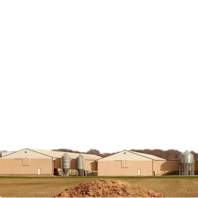 Стальная конструкция, строительный дизайн, птицеферма, навес, курятник для слоев