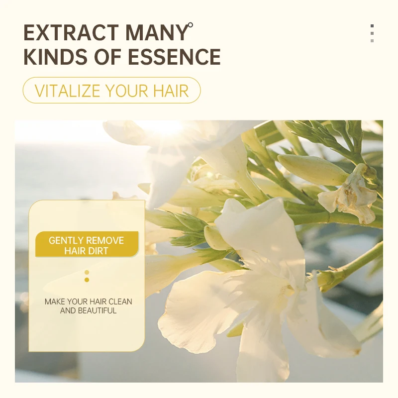 
HeBiQuan HeBiQuan Private Brand OEM/ODM Sophora Amino Acid Shampoo Refreshing Oil Control Anti-dandruff Shampoo 