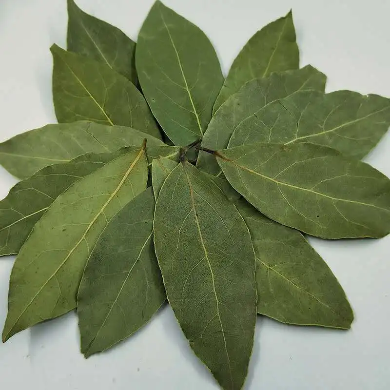 2020 New 100% Pure Cuisine Spices Dried Bay Leaves/Laurel Leaves