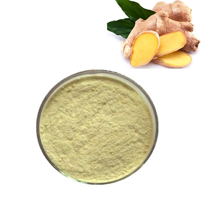 Factory direct supply ginger powder water soluble ginger extract powder 10%