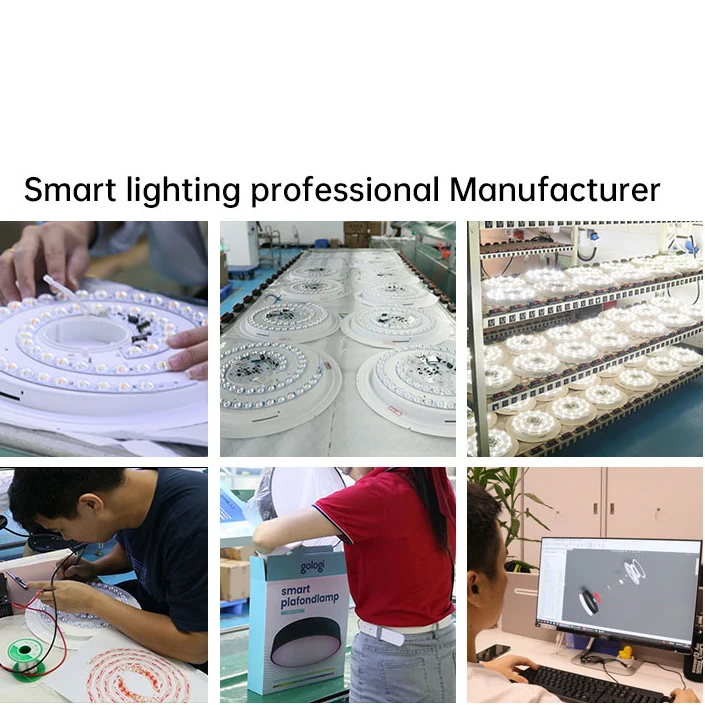 ultrathin Tuya Wifi app Control LED ceiling light 24W Ra>80 Home RGB Voice Adjustable Smart Round Dimmable Switch Led CE custom