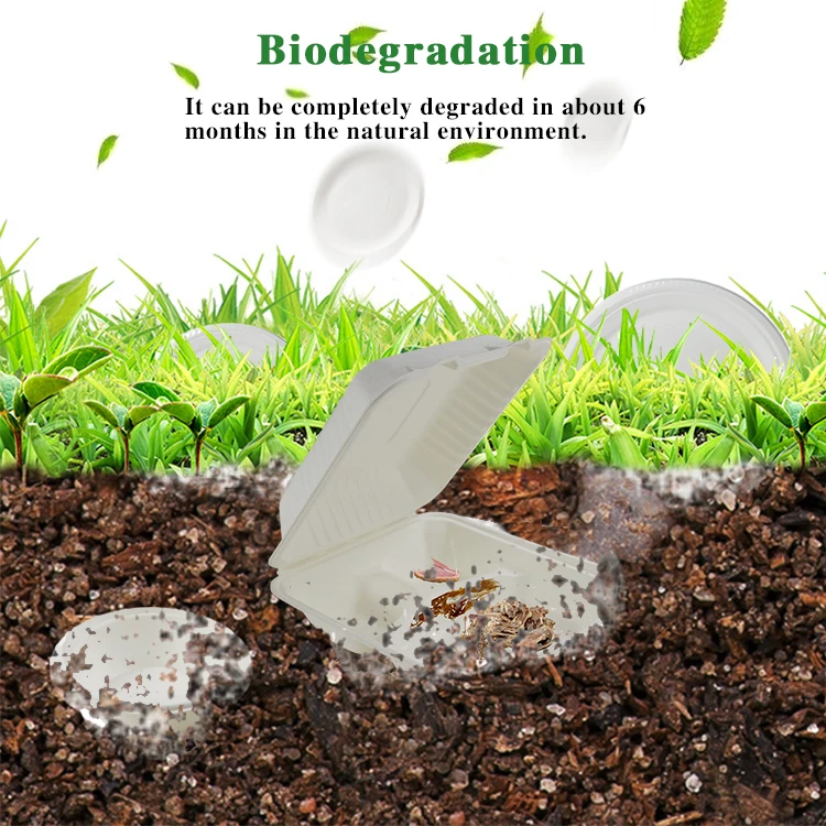 Biodegradable Takeaway Disposable Cooling Bamboo Paper Coffee Cup Holder