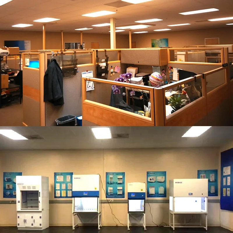 Biobase Stick Easy Carry Chair Walking Stick for Laboratory/Hospital/Nursing Home