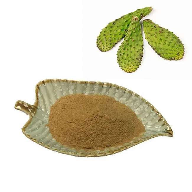 Поставка от производителей чистого натурального экстракта кактуса Opuntia Ficus-indica Extract