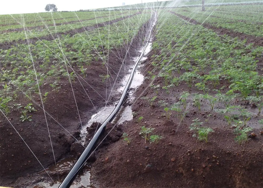 High Quality Micro-Spray Belt Flow Uniform Anti-Aging Irrigation Watering Product Manufactured by Experts