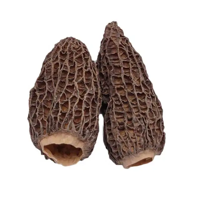 Factory Direct High Quality whole mushrooms dried morchella mushroom price Morel  For Sale