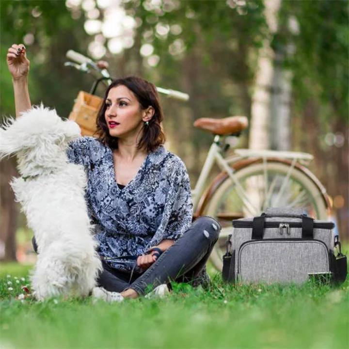 Reusable Peva Motorcycle Packaway Hot Food Delivery Animal Fitness Travel Lunch Cooler Bags for Cans with Ice Pack