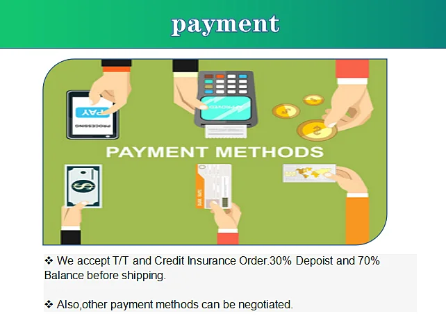 payment.png