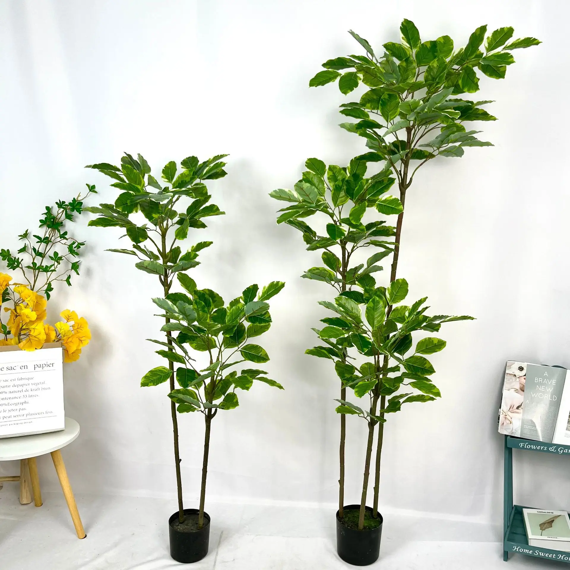 Premium Artificial Plants for Garden Home Ornaments Evergreen Outdoor Ficus Altissima For Sale -149