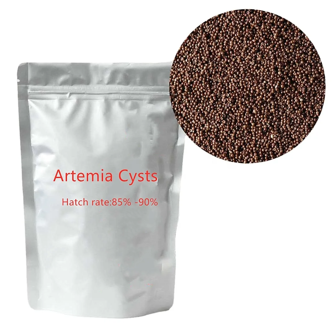 brine shrimp eggs for hatching bohai bay artemia cysts small size for baby shrimp feed