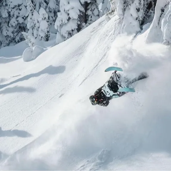 Wholesale 2025 850cc Freeride Cross-Border Mountain Snowmobile Outdoor Ski Resorts 200cc Engine Capacity Featuring Touring Trail