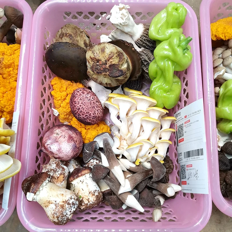 Dry wild mushroom combination 10 kinds of wild truffle beef liver matsutake chicken fir lamb belly