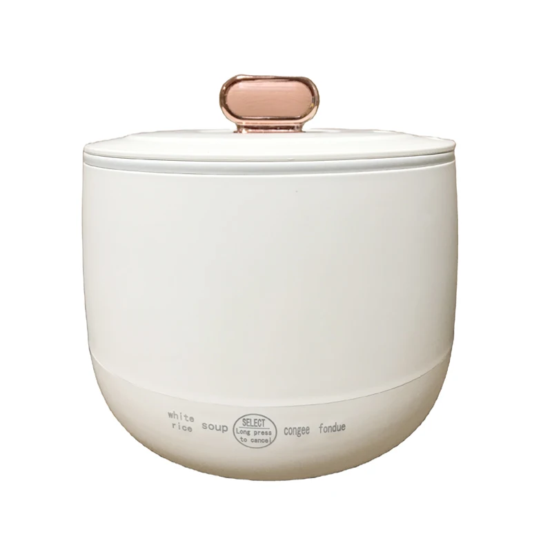 Multipurpose 110V 220V Rice Cooker 1.8L Electric Rice Cooker Non-Stick Inner Home Electric Mini Rice Cooker