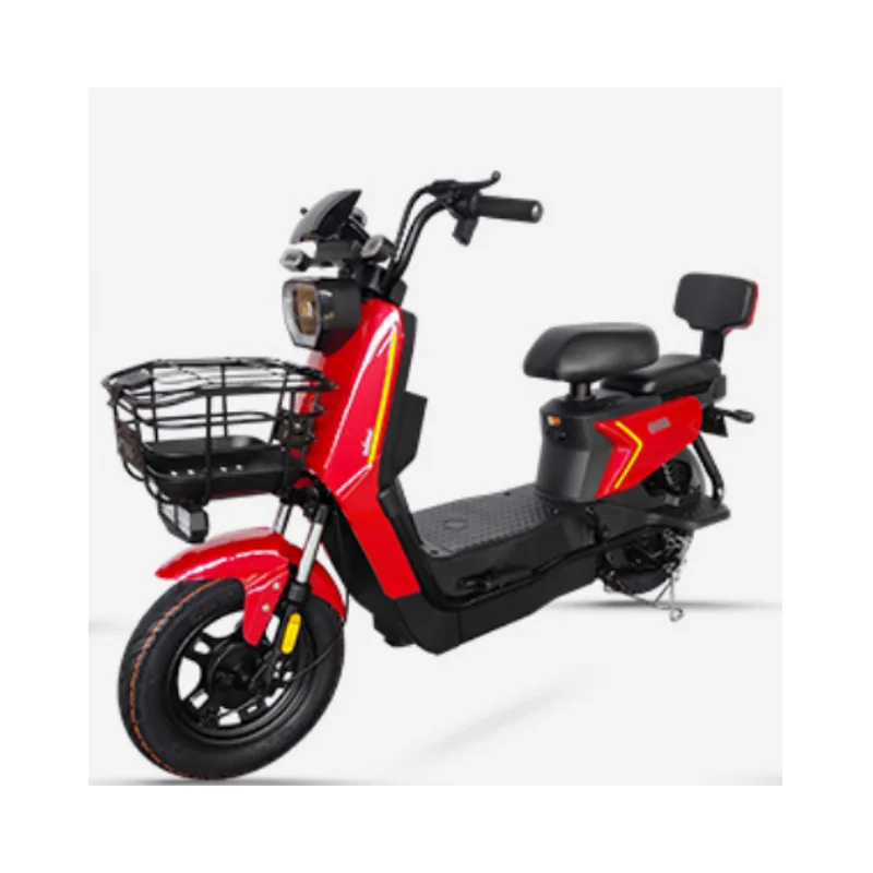 High Quality Best Price Factory Direct Wholesale Manufacturers Two-Wheeled Electric 60V/72V 500W/1000W Bicycle For Two people