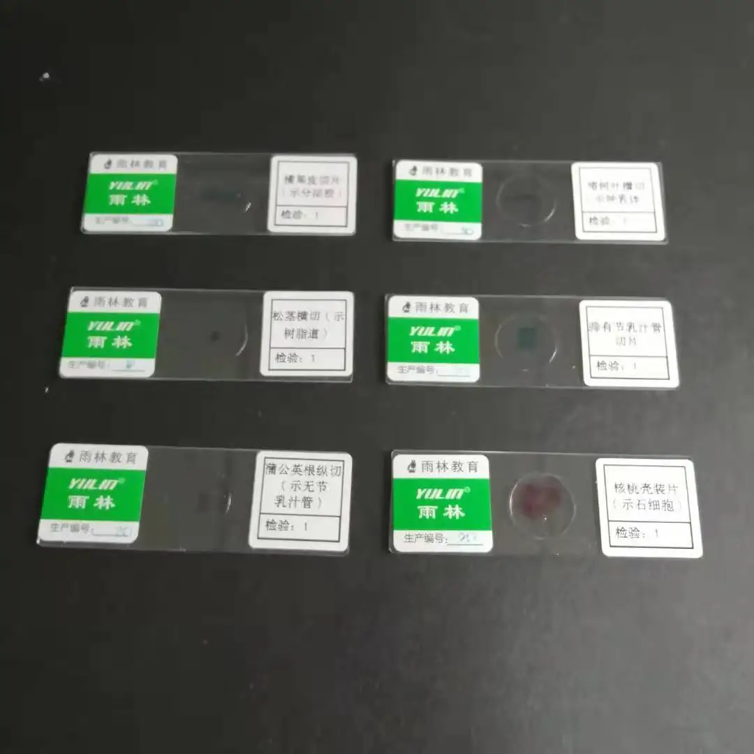 Mixed microscope glass slides set microbiology prepared slides kids children educational stain laboratory consumables