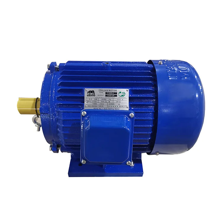 Asynchronous cast iron body 4 kW three-phase electric motor