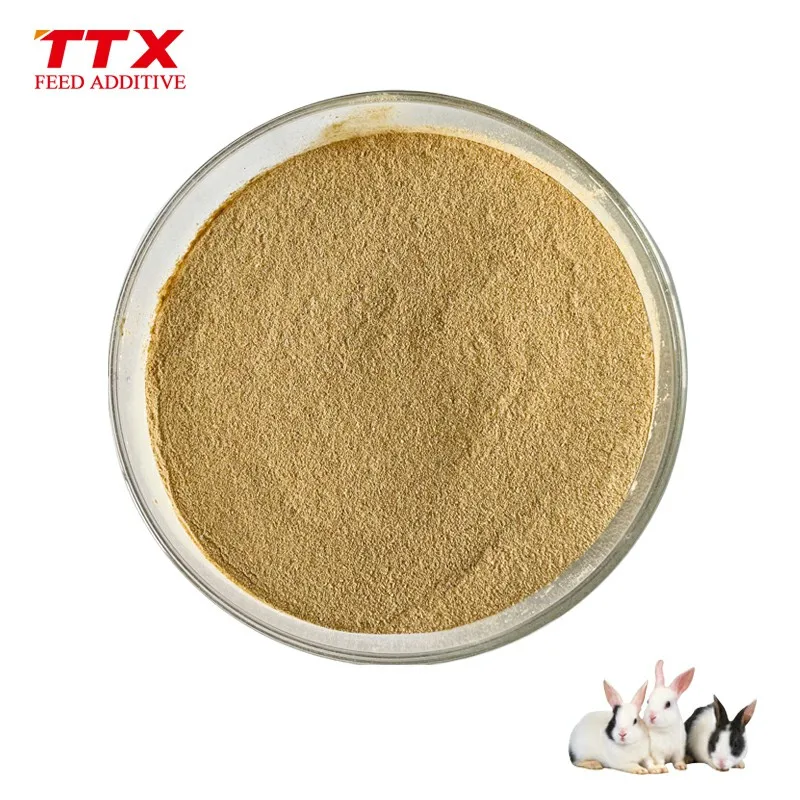 bio enzyme plus protease enzymes alpha amylase