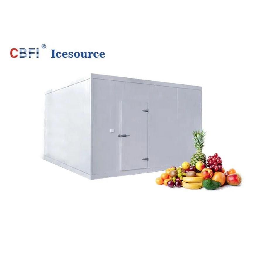 Automatic Hot-sale Cold room (walk in freezer) for fruit/fish/meat/flower for sale with CE approved
