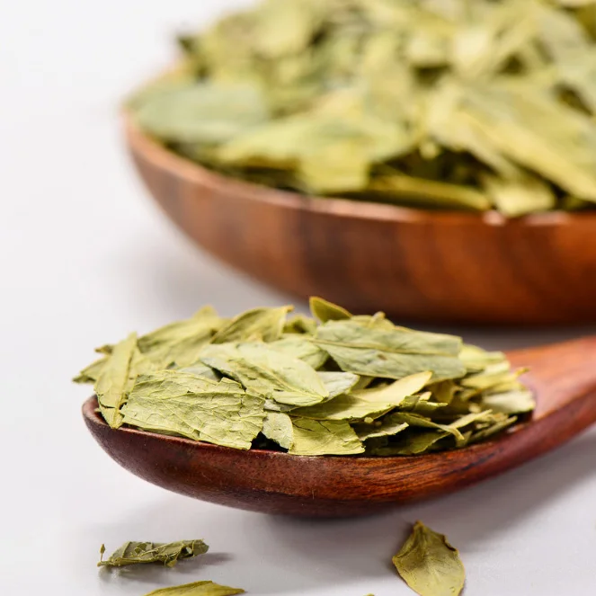 
Natural Chinese Medicine Herb of senna leaves for herbal extract 