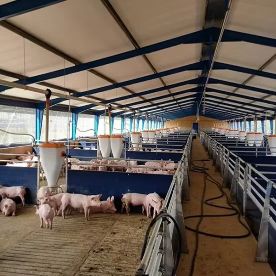 Reliable Steel Structure Pig Shed for Modern Agriculture Livestock Farm Poultry House