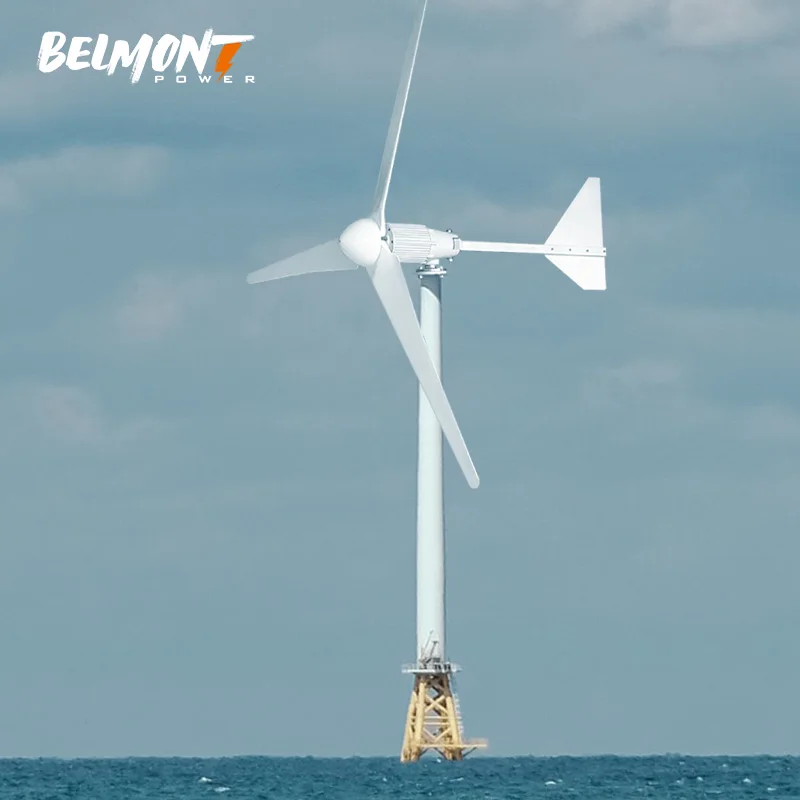 Horizontal Axis 2000w 2500w 3000w home wind turbine generator with controller inverter battery