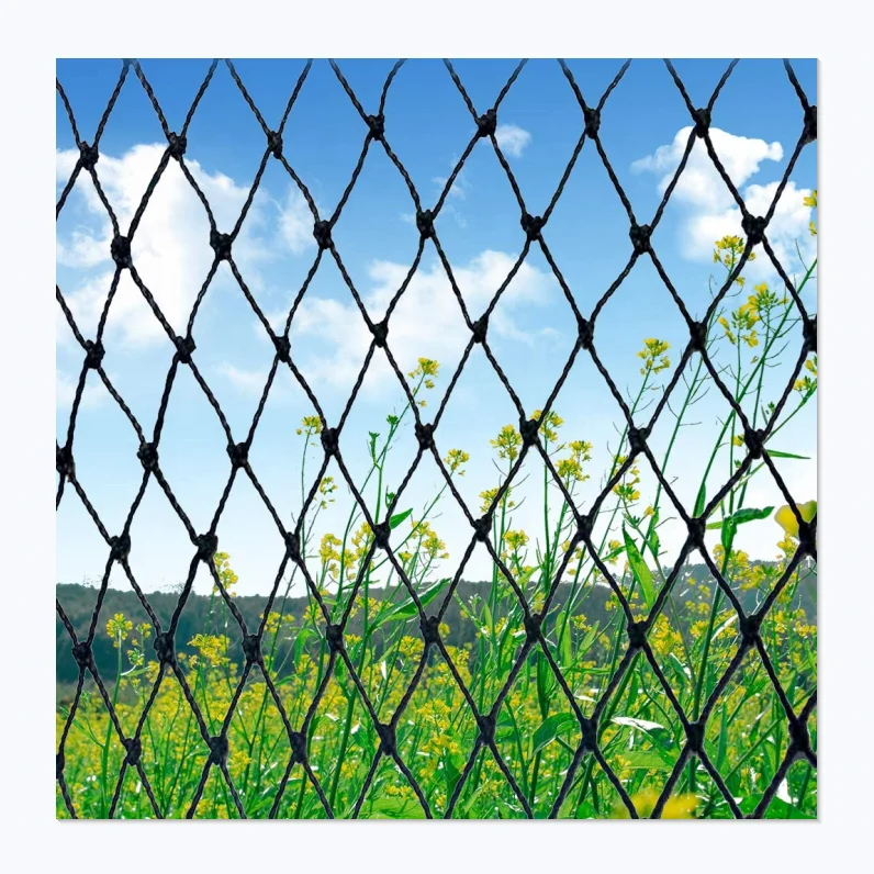 Agriculture HDPE with UV Material Anti Bird Net High Quality Pond Fish Net