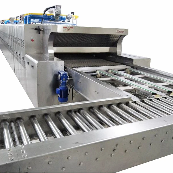 Professional Natural Gas Small Tunnel Oven with PLC Controlling System