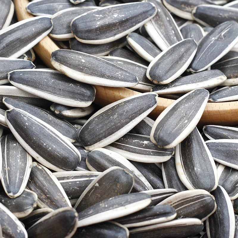 2022 Nutritious Sunflower Seed Raw Sunflower Seed Bag 50kg