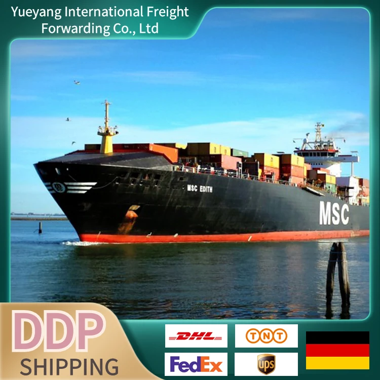 Fast Door To Delivery Service Sea Freight Forwarder Calculate Cost Shipping Rates Shipment From China