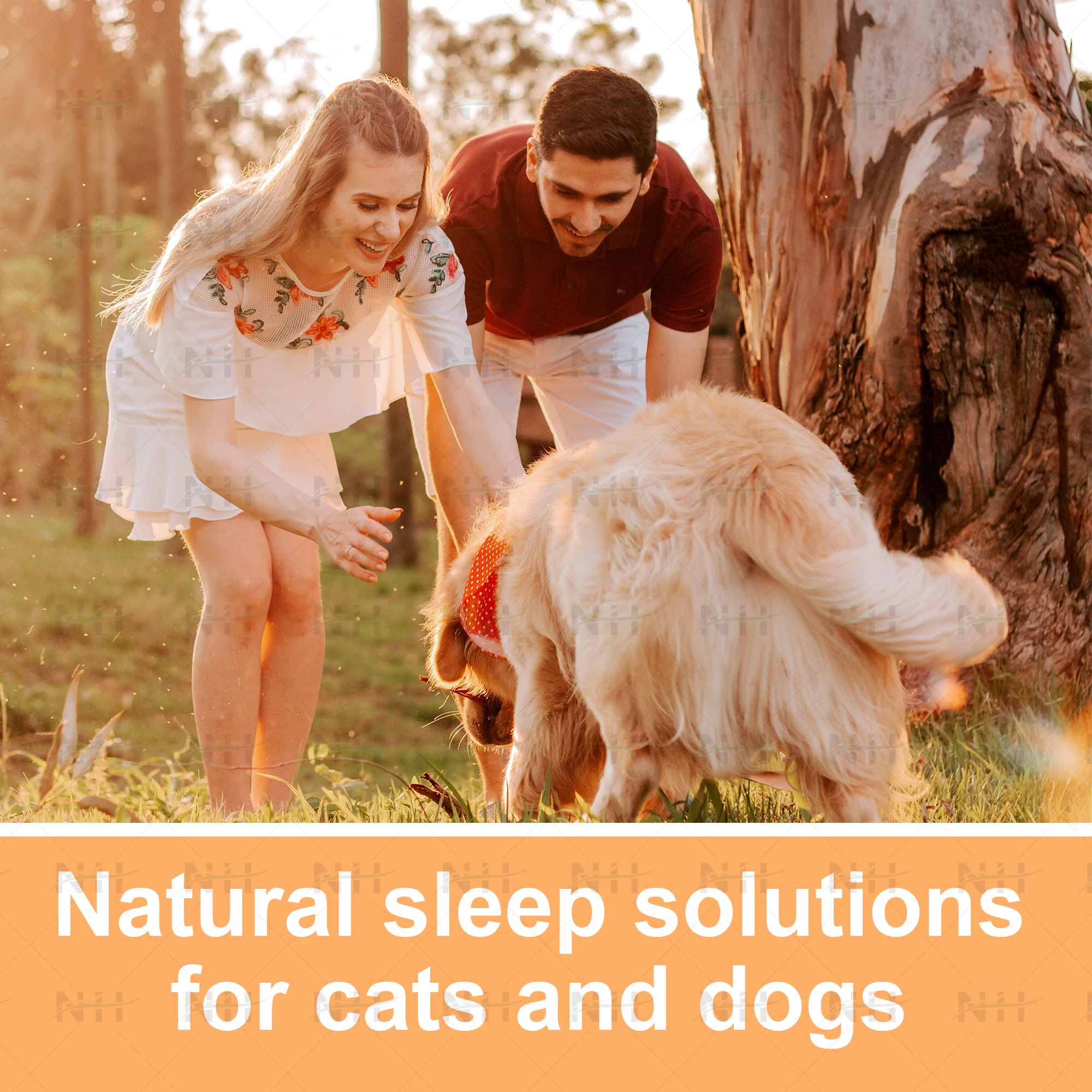 Sleep Chews for Dogs,Soothing Snacks for Stress & Dog Anxiety Relief ,Dog Treats for Separation Anxiety Relief for All Breeds